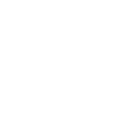 Binocular<br />Stereopsis