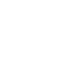 Combat Information<br />Input(HUD)