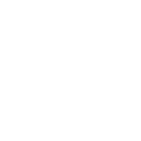 Rapid Target<br />Acquisition